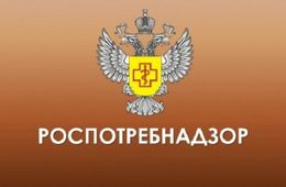 Медведев пообещал решить судьбу Роспотребнадзора, если ведомство не справится со своими задачами