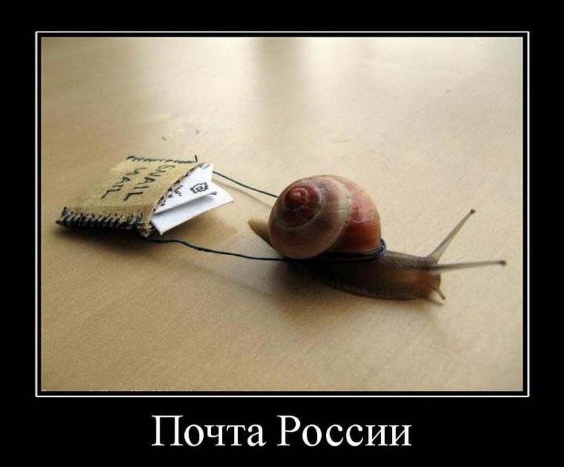 ​Почта России — не начнем работать, пока нас не пнут из Читы