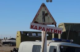 Губит коров не ящур: жители Красной Ималки говорят, что скот болен дерматитом