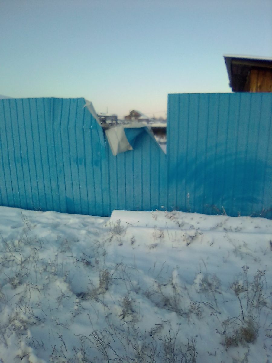 В Кыре медведь сломал забор из профлиста и залез на подворье (видео)