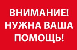 Объявлен сбор средств на помощь сотруднице нерчинской библиотеки — ее сын погиб в Красноярске