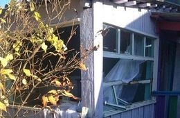 Полицейские пристрелили медведя, разгуливающего на станции Глубокая Падь