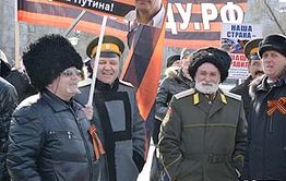 Казаки призвали вспомнить лозунги Великой Отечественной войны