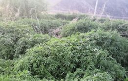 Красивый город с некрасивыми проблемами 