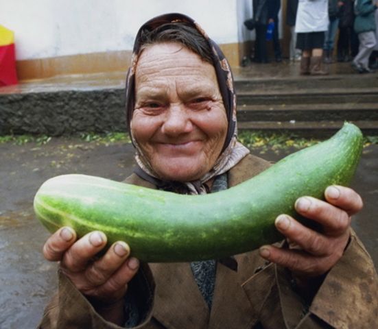 Шок: огурцы в Забайкалье подешевели за неделю на 2%. Читатели «Вечорки» не верят, доктор Попов по-прежнему рекомендует смачивать их слюной и вставлять в задний проход.