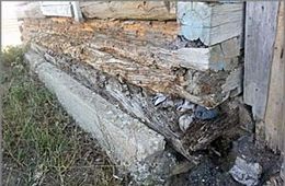 Неравнодушные граждане готовы помочь замерзающим детям в Кадале