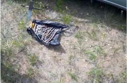 Копателей солодки задержали в заказнике «Агинская степь» в Забайкалье 