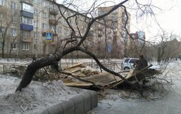 Читу начали украшать к наступающему году свиньи