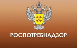 Медведев пообещал решить судьбу Роспотребнадзора, если ведомство не справится со своими задачами