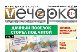 Год в обложках «Вечорки»
