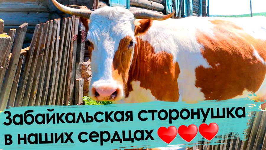 Живешь за Байкалом — не щелкай забралом!