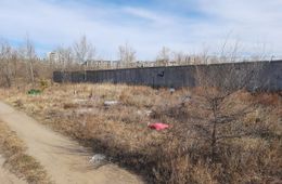 «Водоканал» сносит кладбище домашних животных в Чите	