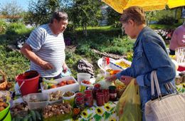 Семь ярмарок состоятся в Чите на следующей неделе