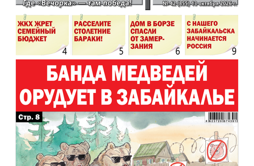 «Вечорка» № 43: Банда медведей орудует в Забайкалье
