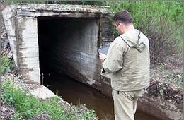 В могочинской воде можно найти не только пиявок-мутантов, но и червей