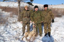 Прокурорские охоты на Алханае