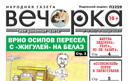 «Вечорка» № 48 (455): Забайкальцев оставили без бюджета, читинского депутата без мандата, а «Осиновских» без брата