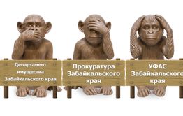 УФАС, прокуратура, департамент имущества — где скрывается их совесть?