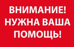 Объявлен сбор средств на помощь сотруднице нерчинской библиотеки — ее сын погиб в Красноярске