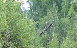 В дачных кооперативах Забайкалья электричество отключают почти каждый день