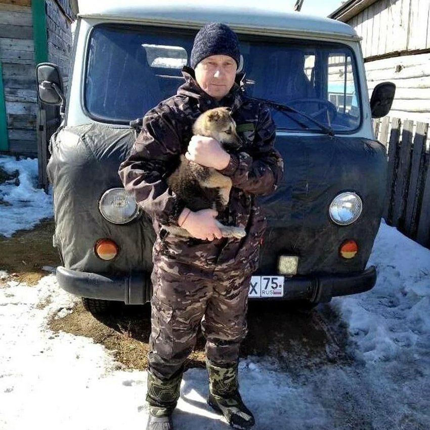Судебный пристав спас замерзающего щенка в Забайкалье