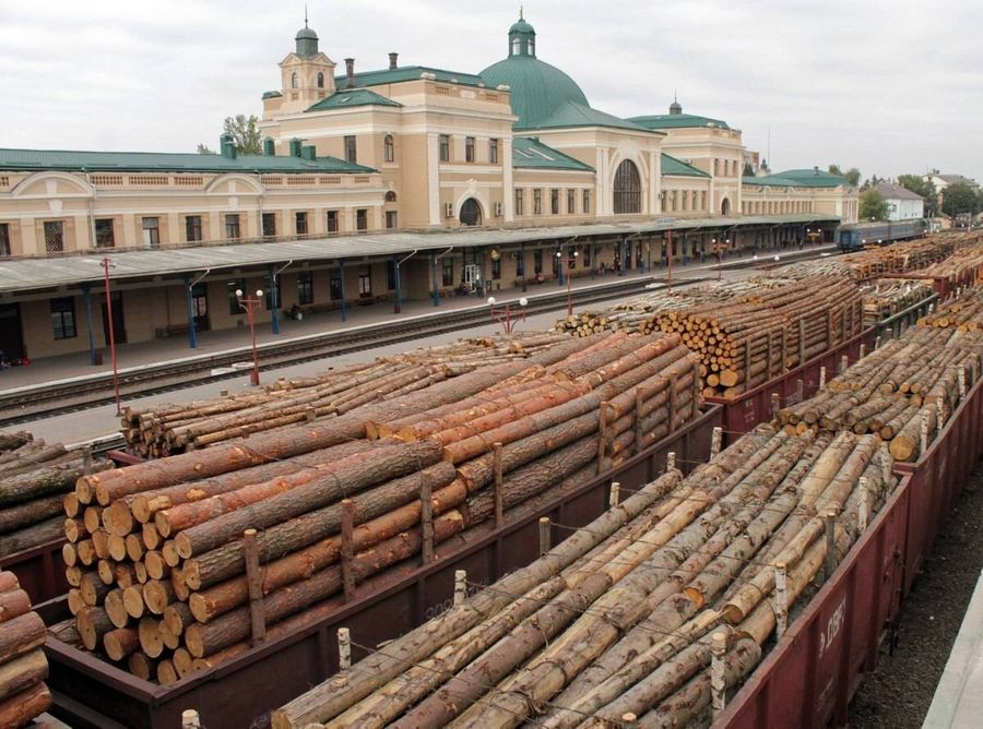 Контрабандисты леса осуждены в Забайкалье 
