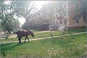 У забайкальских пенсионеров государство украло пенсии