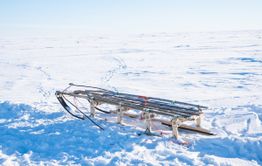 Читинец убил гостя и вывез труп на санках