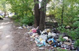 Общегородской субботник пройдет 26 августа в Чите