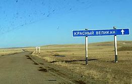 Уже 11 жителей Красного Великана убиты китайским спиртом