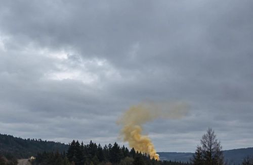 В Нижнем Стане гибнет скот, а чиновники штрафуют трупы коров