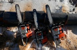 Четыре забайкальца заготавливали дрова на охраняемой территории 