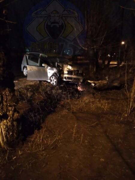 Читинец врезался в дерево на Набережной