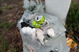«Вечорка ЦУР»: Беспредельщик «Олерон» — Чита в мусоре
