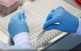 ​Медики ждут повторных результатов анализов жены и дочери болеющего короновирусом гражданина Китая