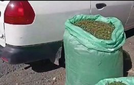 Более ста килограммов конопли изъяли у читинца