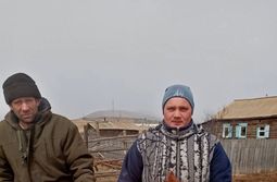 Нескольких лошадей спасли в Оловяннинском районе
