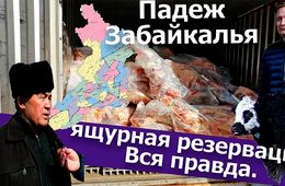 Вечорка ТВ: Падеж Забайкалья: ящурная резервация. Вся правда 