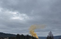 В Нижнем Стане гибнет скот, а чиновники штрафуют трупы коров