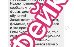В родительских чатах распространяется фэйковая информация про опрос родителей против дистанционного обучения