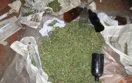 ​В Забайкалье изъято 13 килограммов наркотиков за сутки