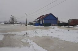 На Украине военная операция, а в селе Миронов...