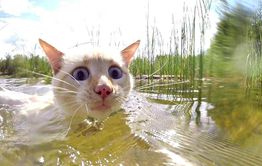 Вода в Читинке продолжает прибывать 