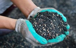 Самая популярная десятка минеральных удобрений