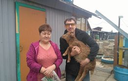 Победители конкурса «Вечорки» назвали выигранного барашка Призом