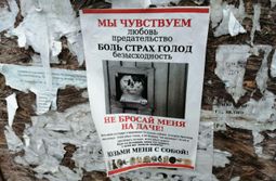 Люди, давайте будем людьми. Атамановка, улица...