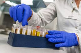 Минздрав предложил ввести новые правила получения водительских медсправок для выявления наркозависимых автомобилистов