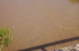 Золотодобывающие компании загрязняют речки в Балейском районе