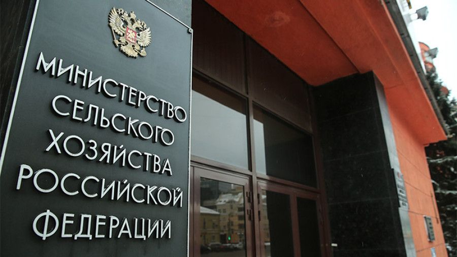 Слухи