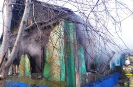 Следователи возбудили уголовное дело из-за гибели ребёнка во время пожара в Балее 